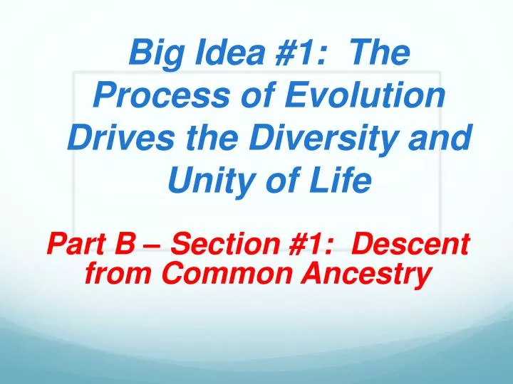 big idea 1 the process of evolution drives the diversity and unity of life