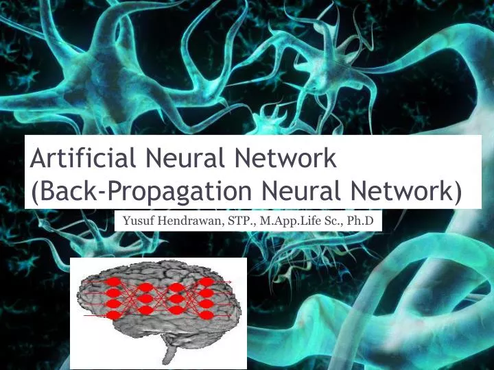 artificial neural network back propagation neural network