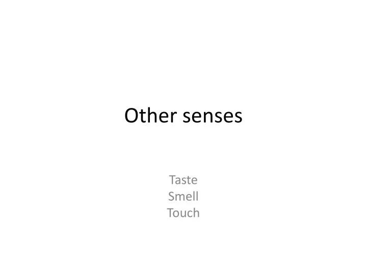 other senses