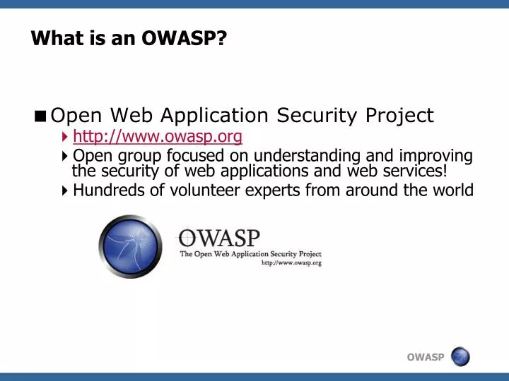 what is an owasp