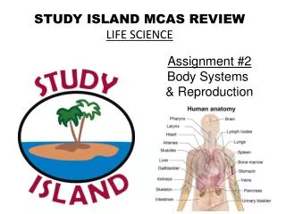 STUDY ISLAND MCAS REVIEW LIFE SCIENCE