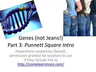 Genes (not Jeans!) Part 3: Punnett Square Intro