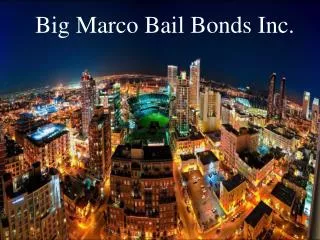 Expert Bail Bonds Services