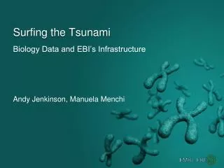 surfing the tsunami