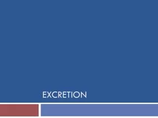 excretion