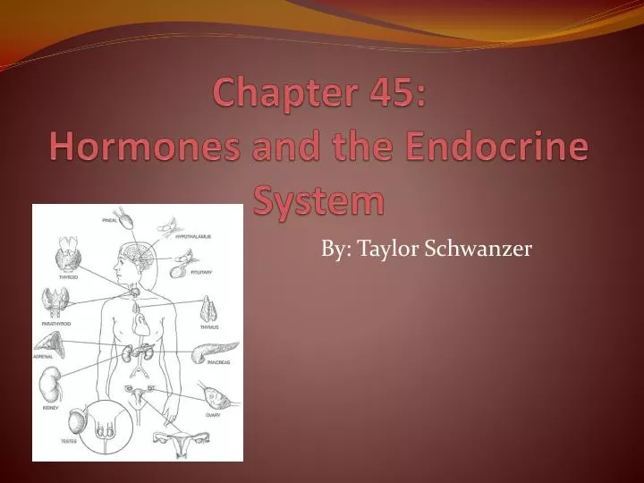 chapter 45 hormones and the endocrine system