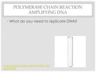 Polymerase chain reaction AMPLIFYING DNA