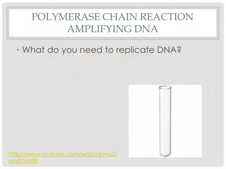 polymerase chain reaction amplifying dna