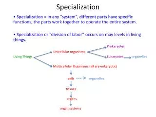 Specialization