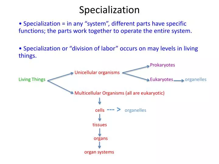 specialization