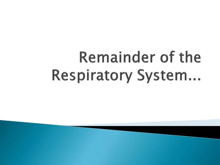 remainder of the respiratory system