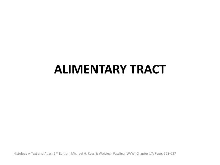alimentary tract