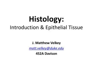 Histology: Introduction &amp; Epithelial Tissue