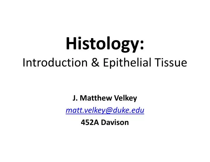 histology introduction epithelial tissue