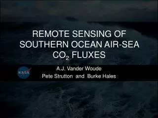 REMOTE SENSING OF SOUTHERN OCEAN AIR-SEA CO 2 FLUXES