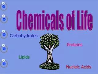 Chemicals of Life