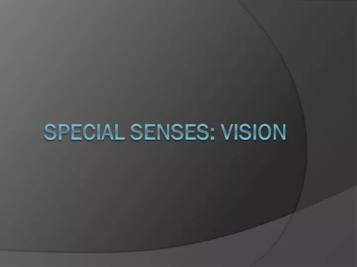 special senses vision