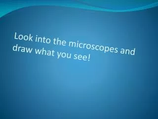 Look into the microscopes and draw what you see!