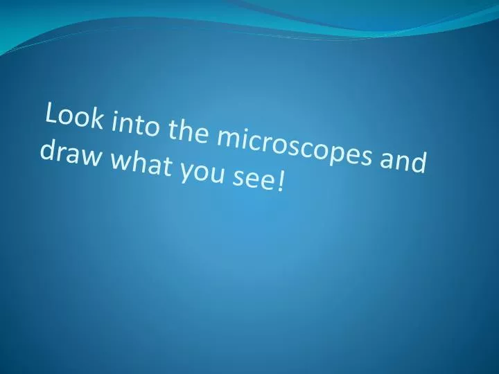 look into the microscopes and draw what you see