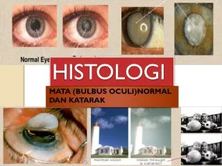 histologi