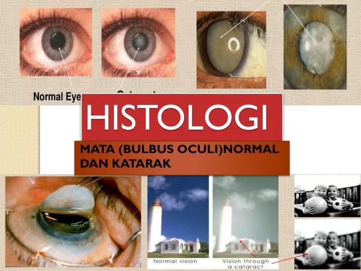 histologi