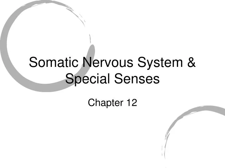 somatic nervous system special senses