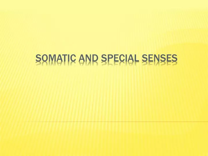 somatic and special senses