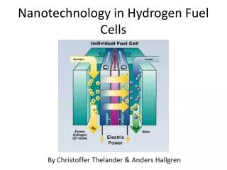 Nanotechnology in Hydrogen Fuel Cells