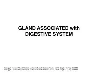 GLAND ASSOCIATED with DIGESTIVE SYSTEM