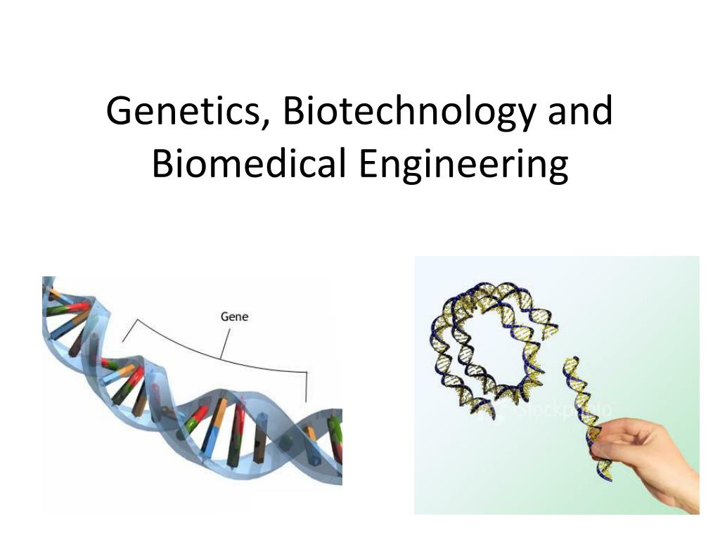 PPT - Genetics, Biotechnology and Biomedical Engineering PowerPoint ...