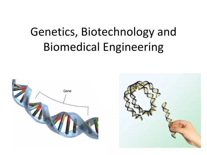 genetics biotechnology and biomedical engineering