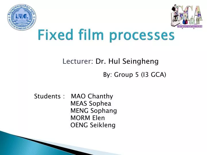 fixed film processes