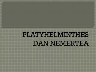 platyhelminthes dan nemertea