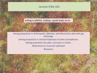 Lecture 9 Bio 325