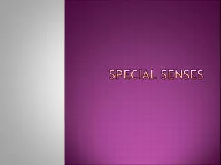 Special senses