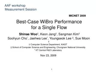 Best-Case WiBro Performance for a Single Flow