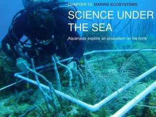 SCIENCE UNDER THE SEA