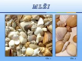 m l i