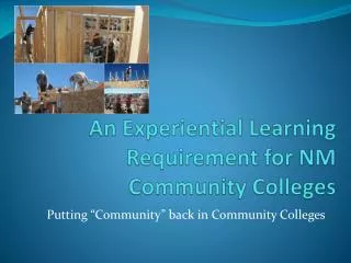 An Experiential Learning Requirement for NM Community Colleges