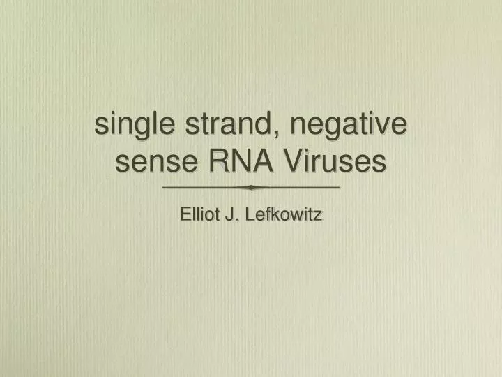 single strand negative sense rna viruses