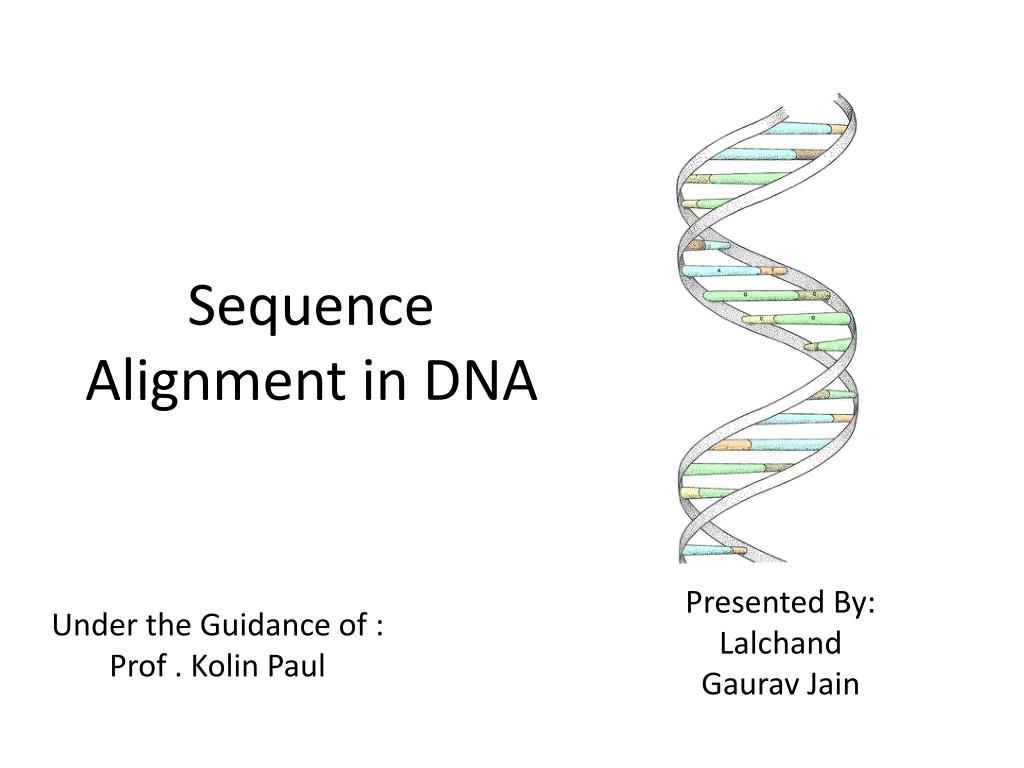 PPT - Sequence Alignment in DNA PowerPoint Presentation, free download ...