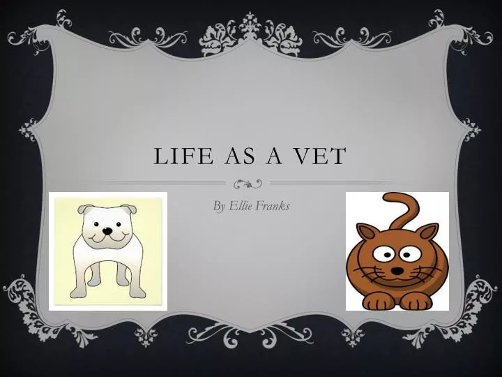 life as a vet