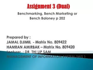 Assignment 3 (Dual)