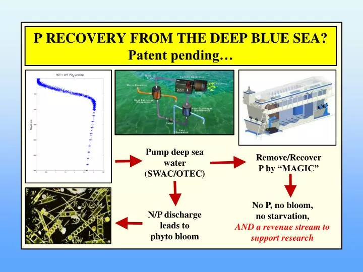 p recovery from the deep blue sea patent pending