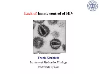 Frank Kirchhoff Institute of Molecular Virology University of Ulm