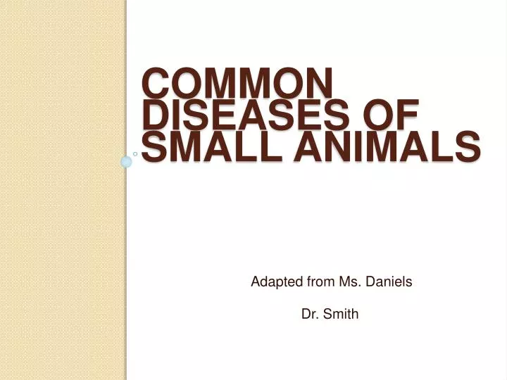 common diseases of small animals