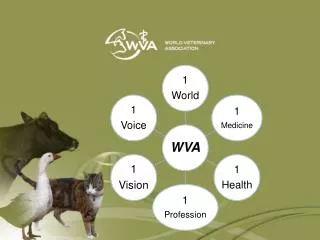 01 WVA 1.1. Members 1.2. Structure 1.3. Mission 1.4. Vision 1.5. Main Goals 1.6. History