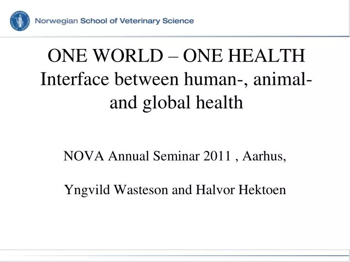 one world one health interface between human animal and global health