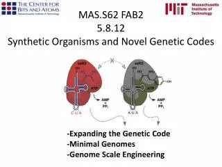 MAS.S62 FAB2 5.8.12 Synthetic Organisms and Novel Genetic Codes