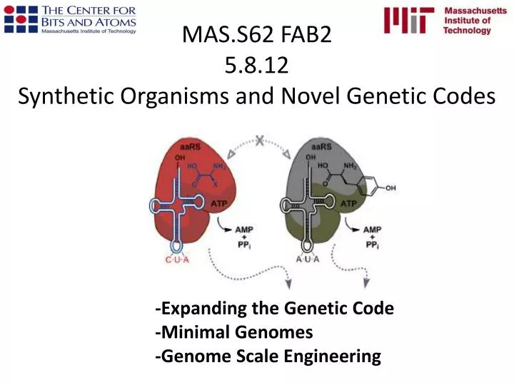 mas s62 fab2 5 8 12 synthetic organisms and novel genetic codes